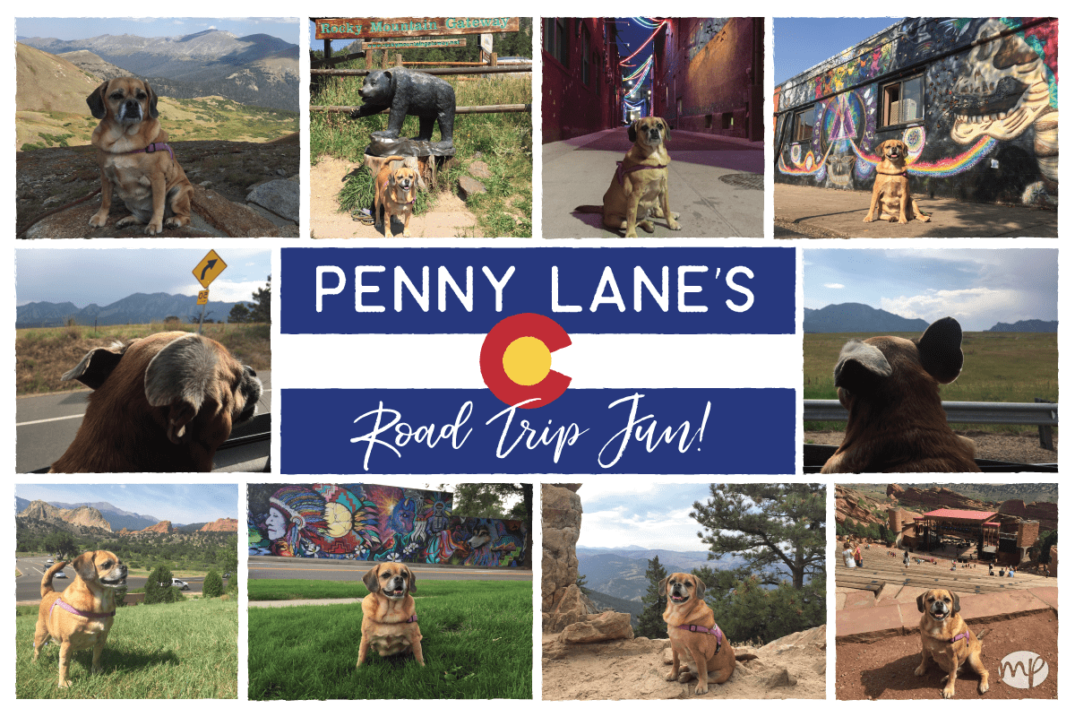 Penny Lane Traveling Tips