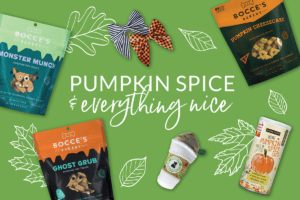 indulge in fall with your furry best friend