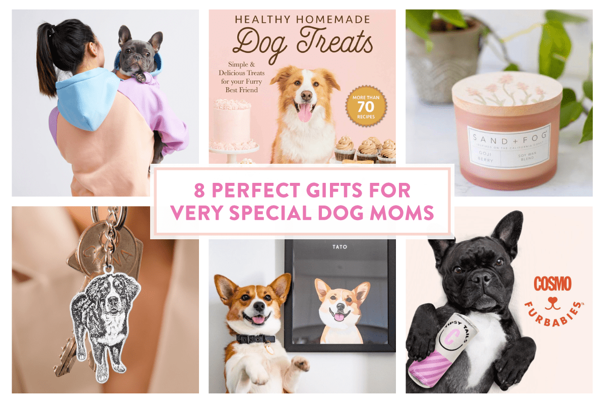 8 Perfect Gifts for Very Special Dog Moms