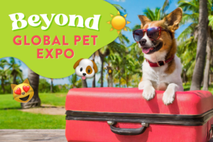 brown and white dog with sunglasses on red suitcase, in front of a Florida beach