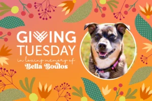 Celebrat Bella Bulos on Giving Tuesday 2024